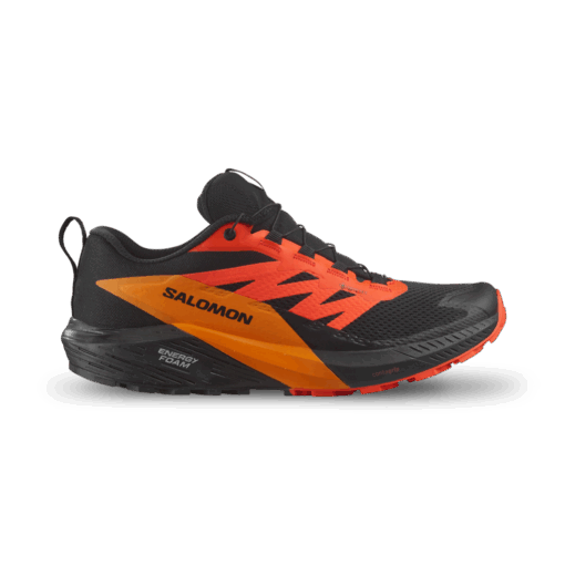 Sense Ride 5 GTX Shoe