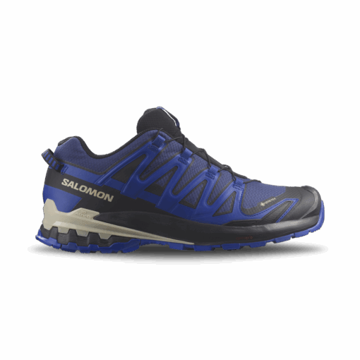 XA Pro v9 GTX Shoe Blue