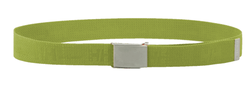 HH LOGO WEBBING BELT 430 DARK LIME